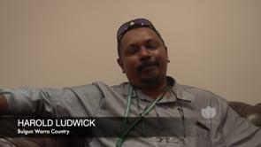 Favourite Aboriginal word_Harold Ludwick