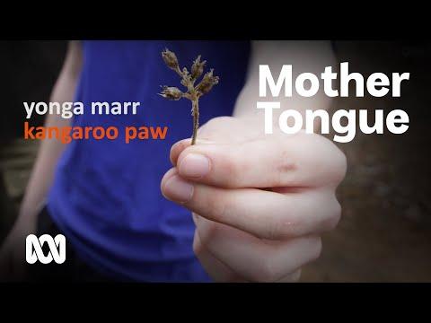 A taste of Noongar language